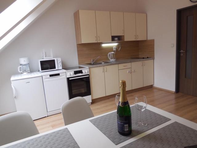 Apartman Kamenice Kamenice nad Lipou Exteriör bild